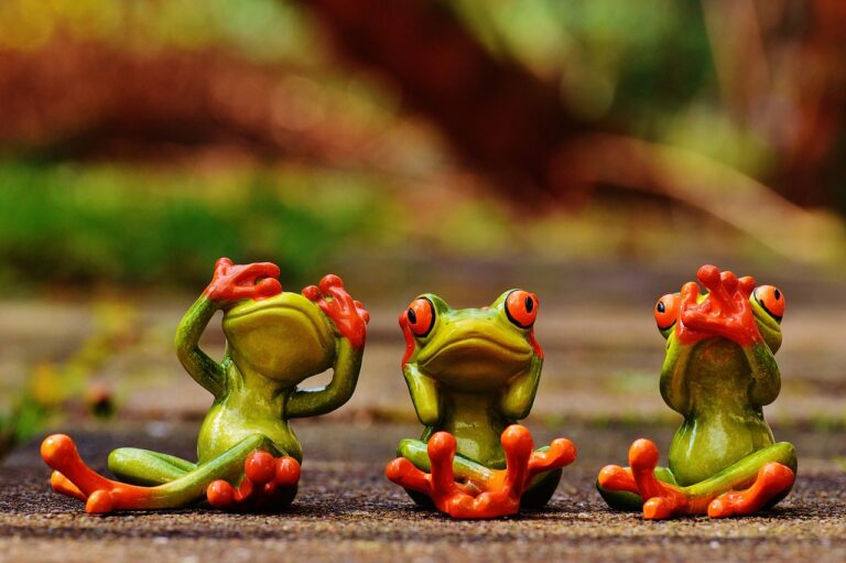 Exploring Retargeting Strategies for Dance Studio Marketing Campaigns
