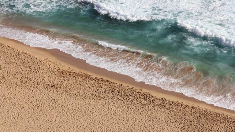 99Exch ???? ?? ?? ?? ???? ??? ???? ???