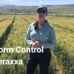 Unlock the Power of Reddy Anna ID: A Complete Guide for Professionals