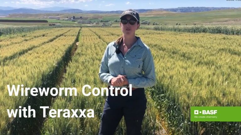 Unlock the Power of Reddy Anna ID: A Complete Guide for Professionals